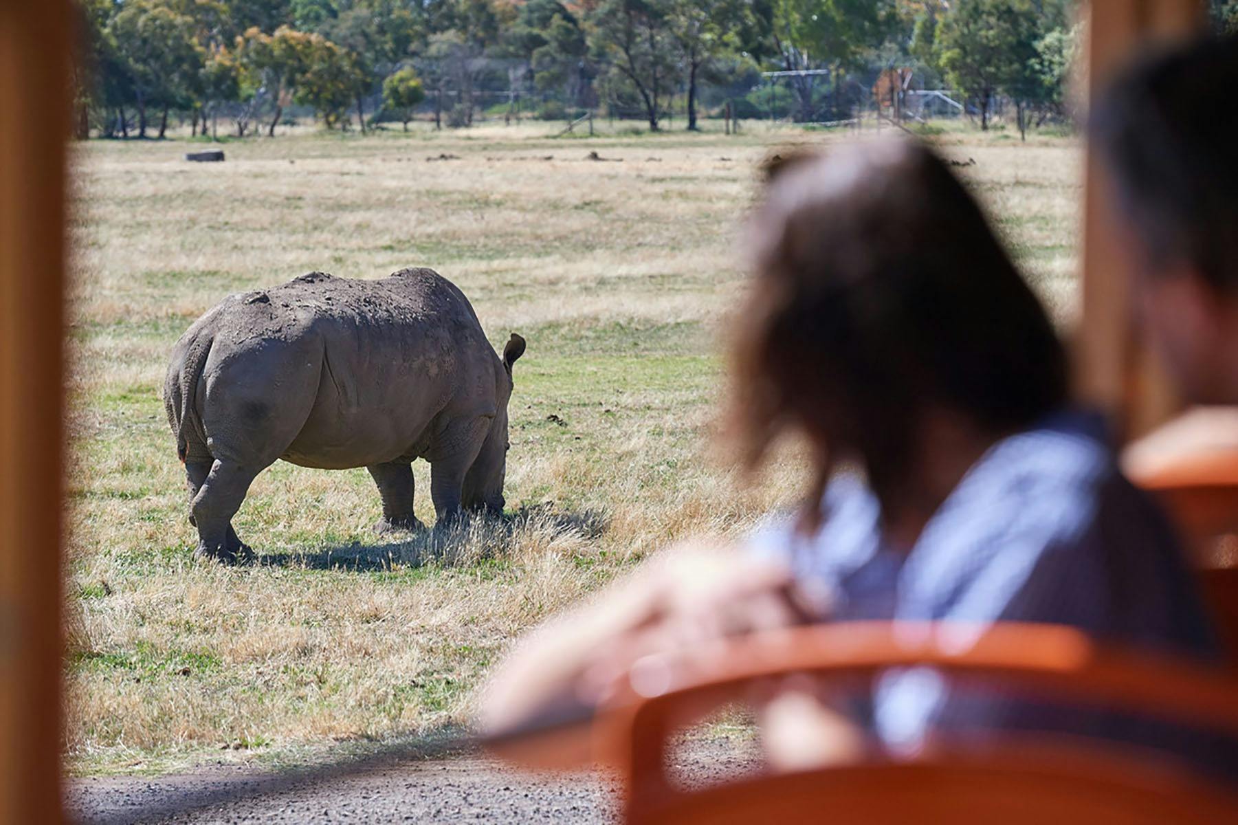 Slumber Safari at Werribee Open Range Zoo