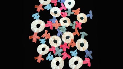 Textile artwork depicting a collection of transgender symbols.