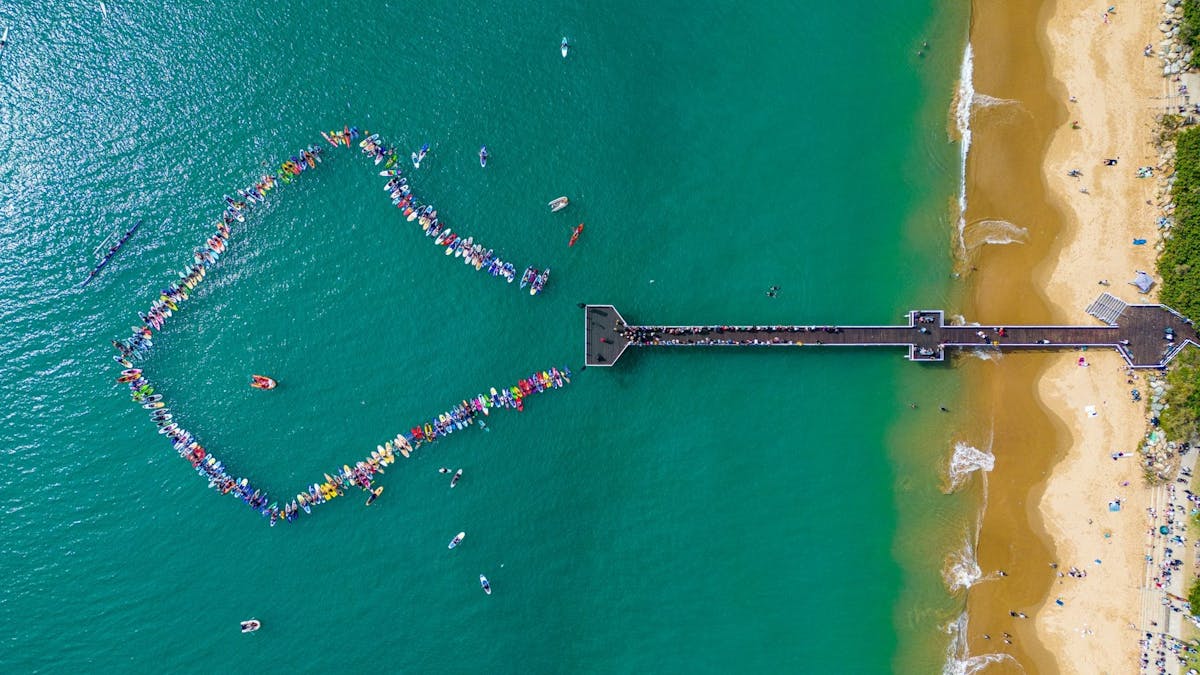 Paddle Out for Whales