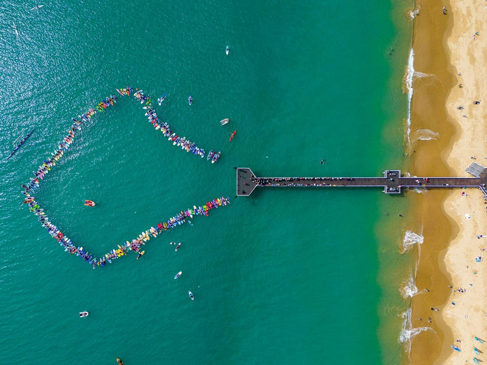 Paddle Out for Whales Paddle Out for Whales