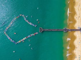 Hervey Bay Whale Festival - Paddle Out for Whales
