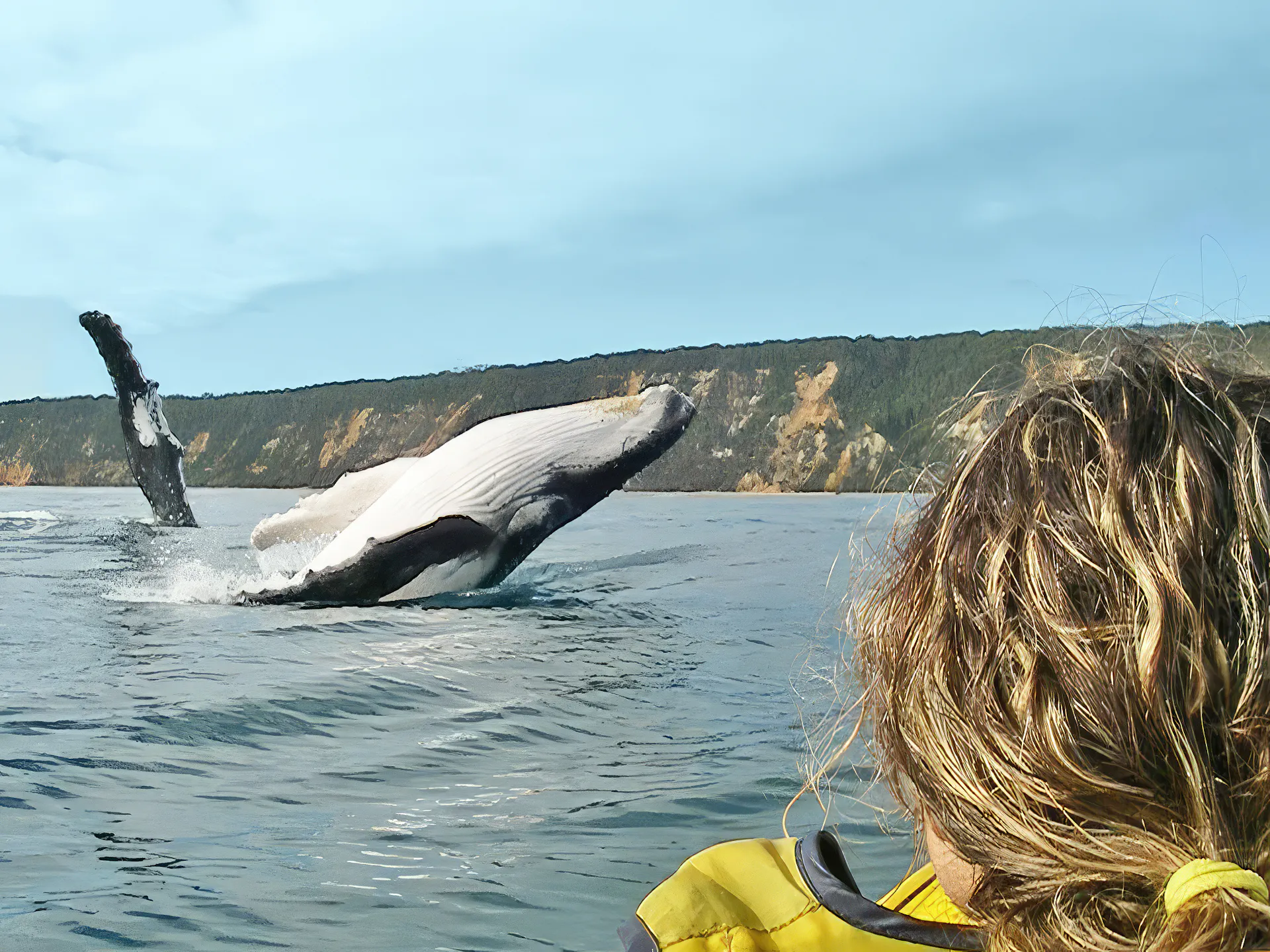 Noosa Whale Watching Ocean Kayaking & Beach 4X4 Tour