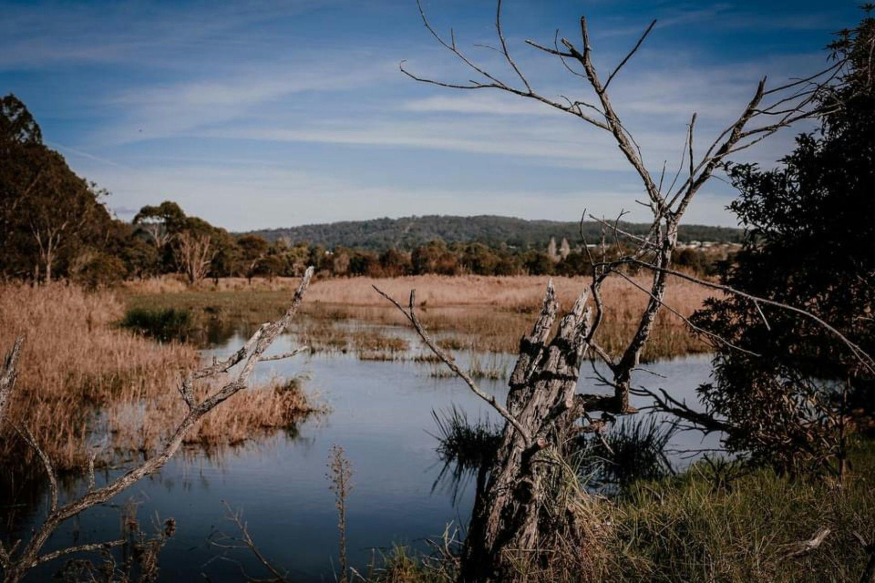 A tree covered hill in the background, tree line in front of that with natural body of water