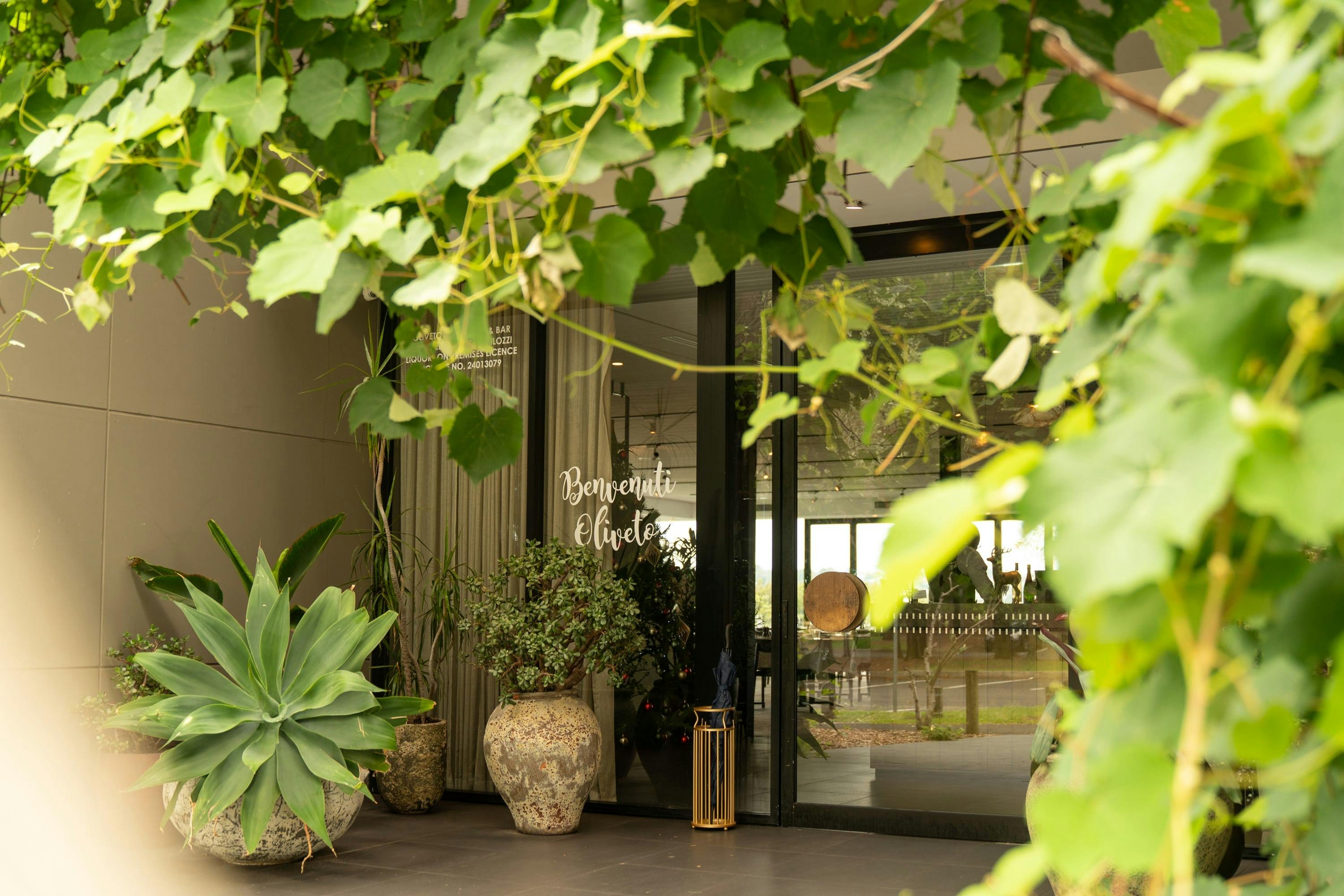 Exterior of front door with vines