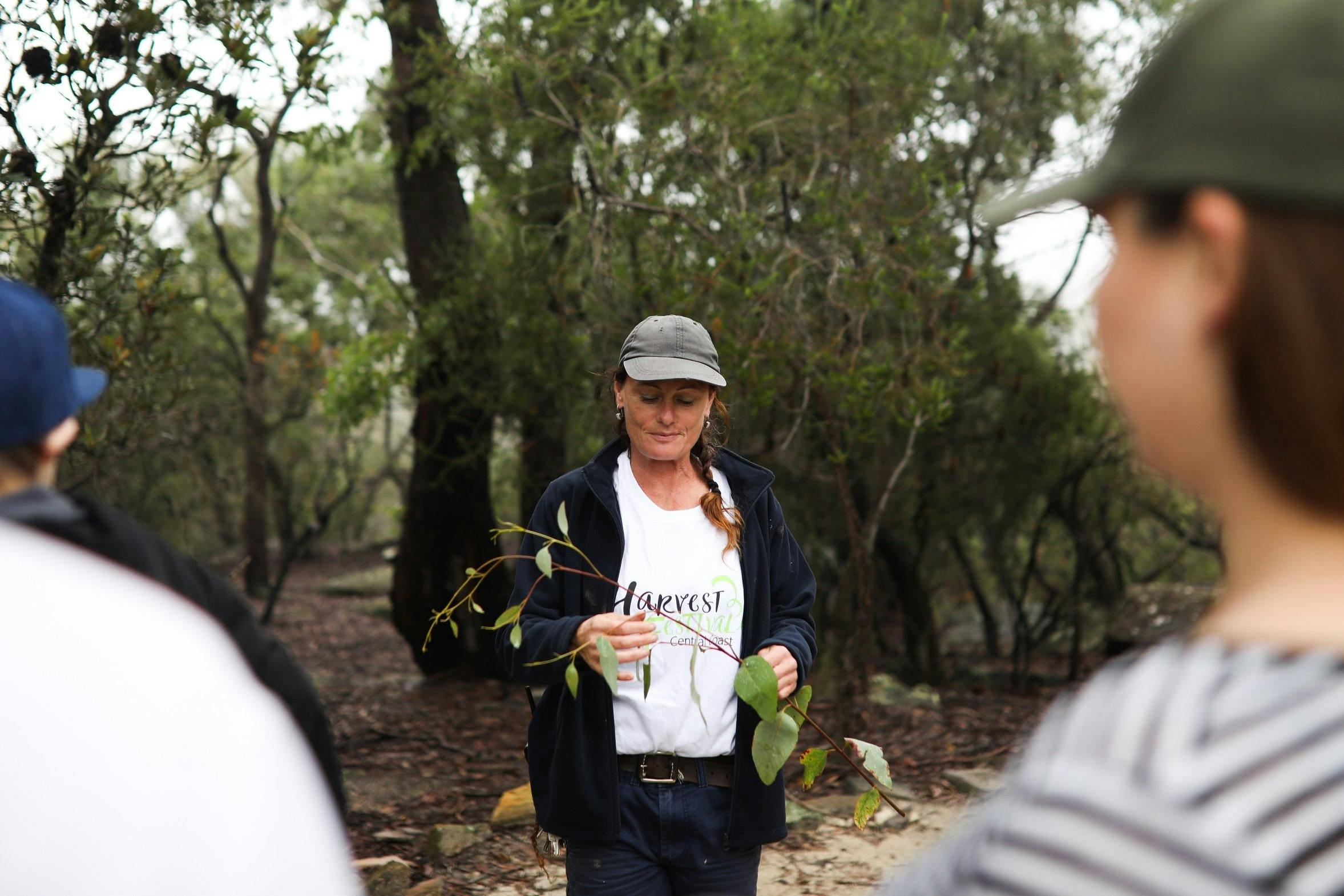ブッシュタッカーツアー