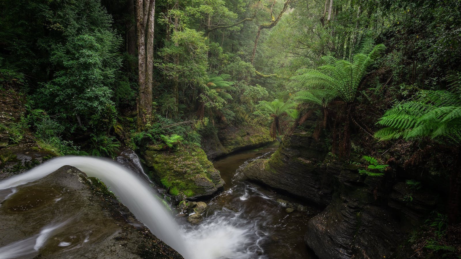 'The Spout', Liffey Falls upper carpark track