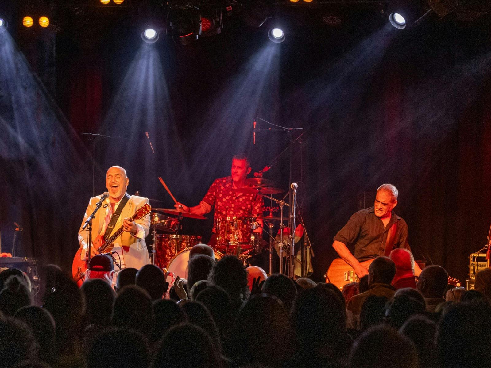 Picture of Black Sorrows performing live on stage