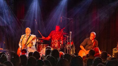 Picture of Black Sorrows performing live on stage