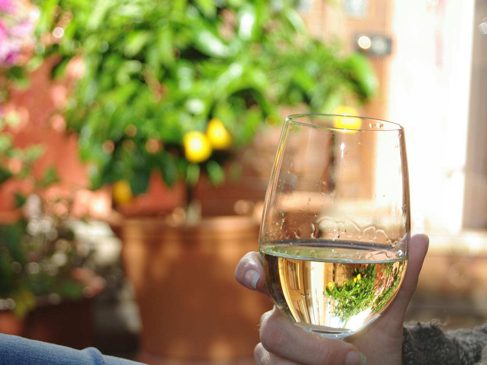 Enjoy a glass of wine in the sun drenched  courtyard