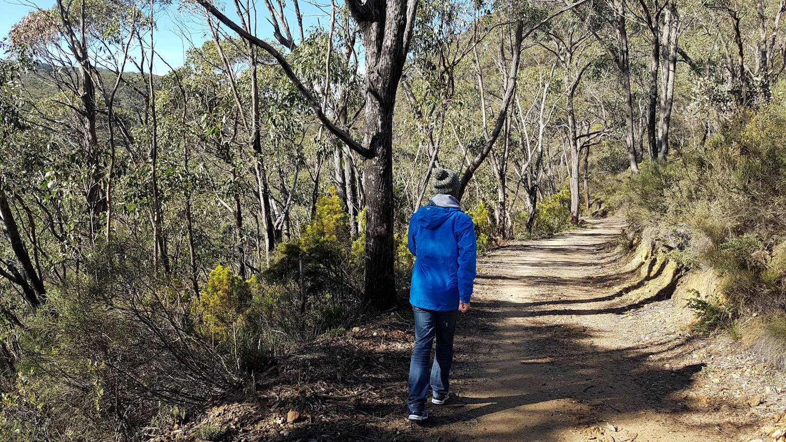 Cleland National Park