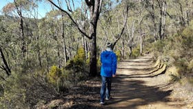 Cleland National Park