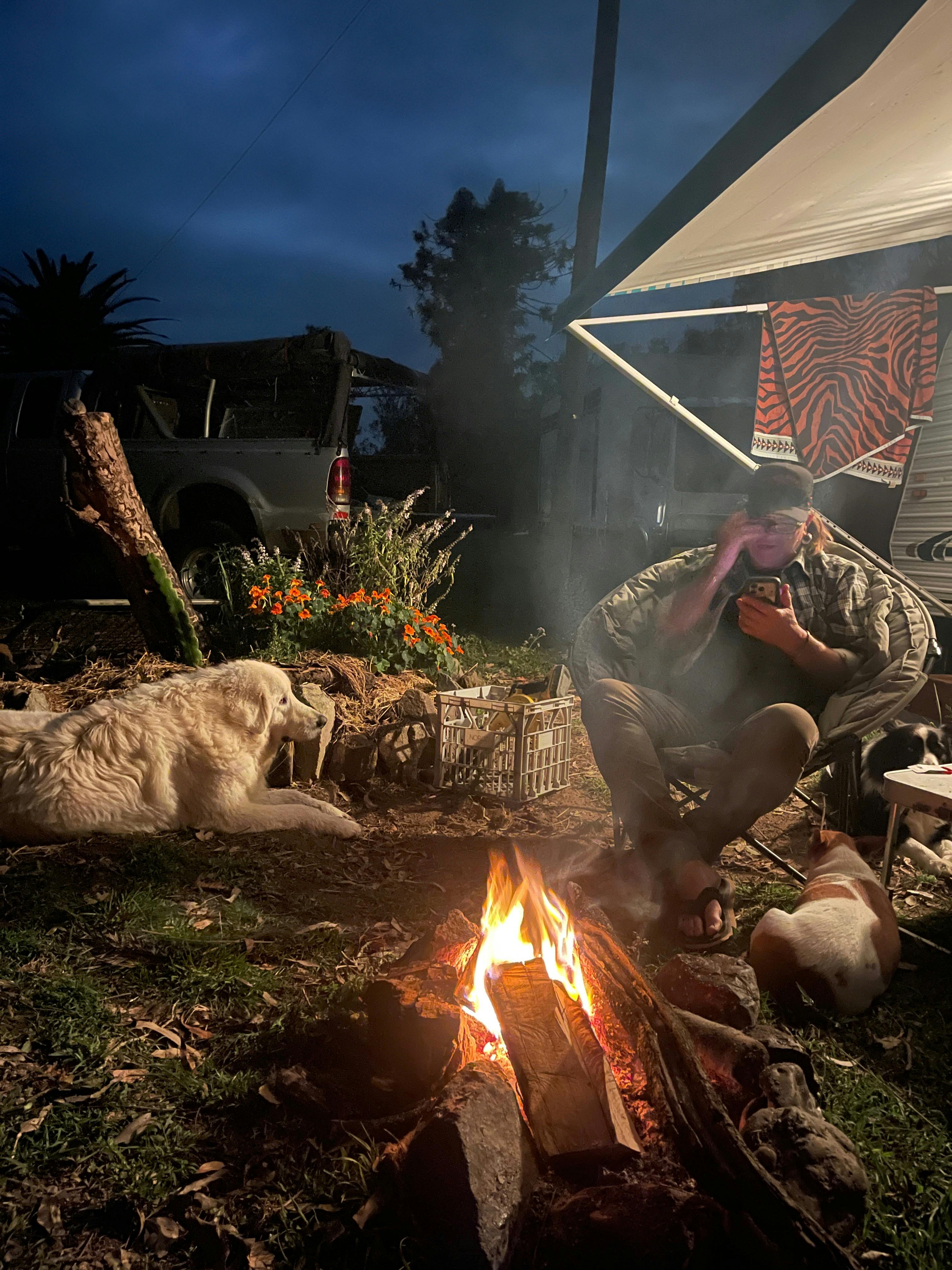 Relaxing by the campfire with the hounds after a hard day of horse riding