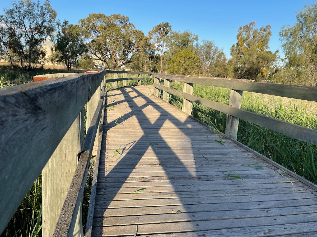 Botanic Garden Boardwalk