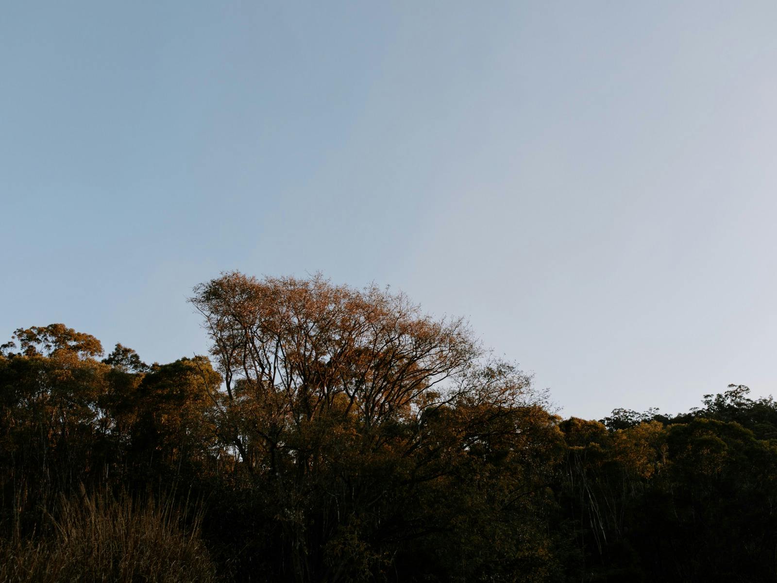 luxury eco farm stay northern nsw