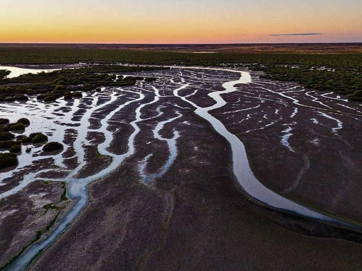 Cuttaburra Crossing