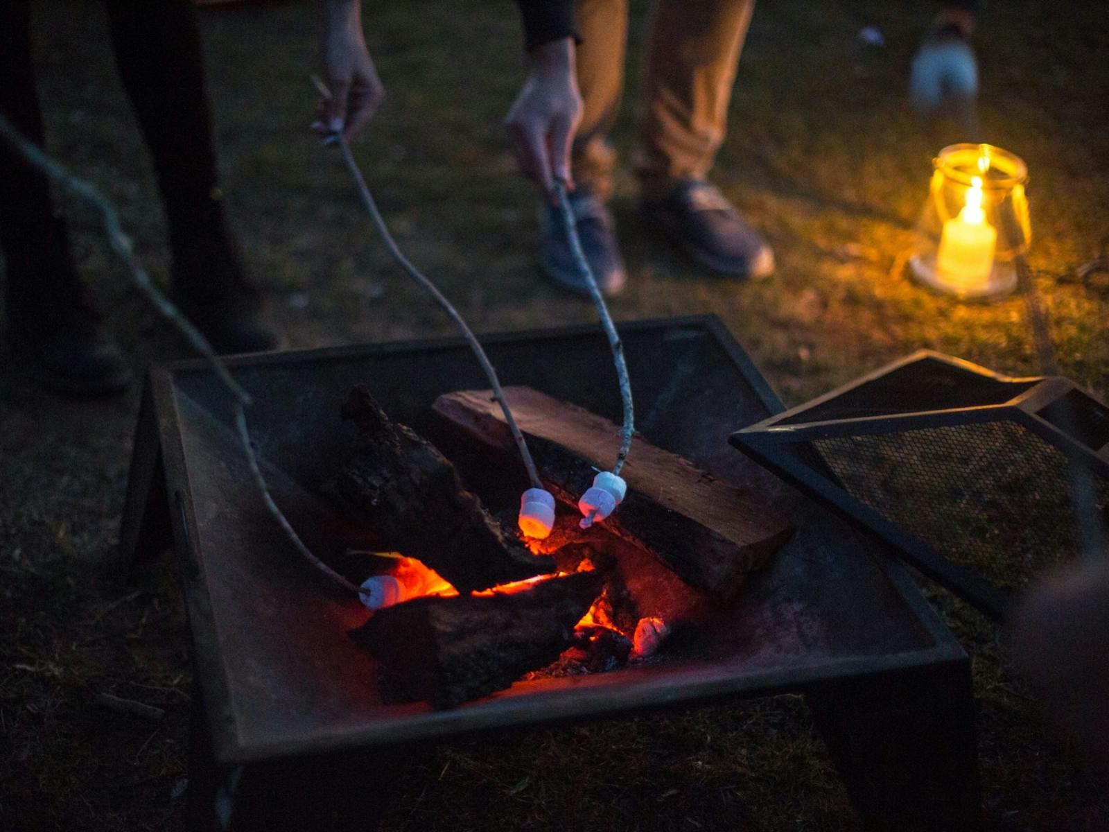Toasting marshmallows at stomp fireside tasting