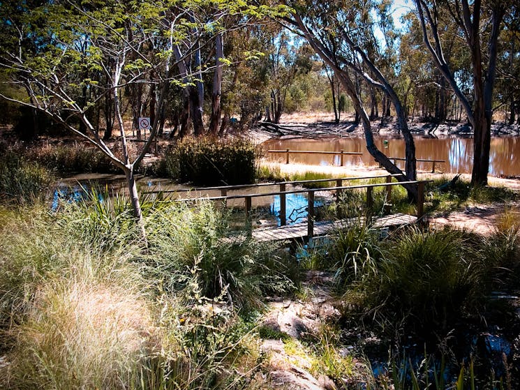 Wirraminna at Burrumbuttock