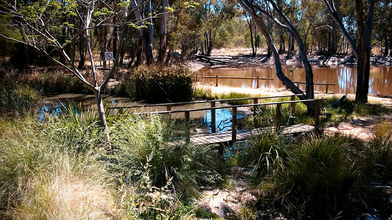 Explore the trails through Wirraminna