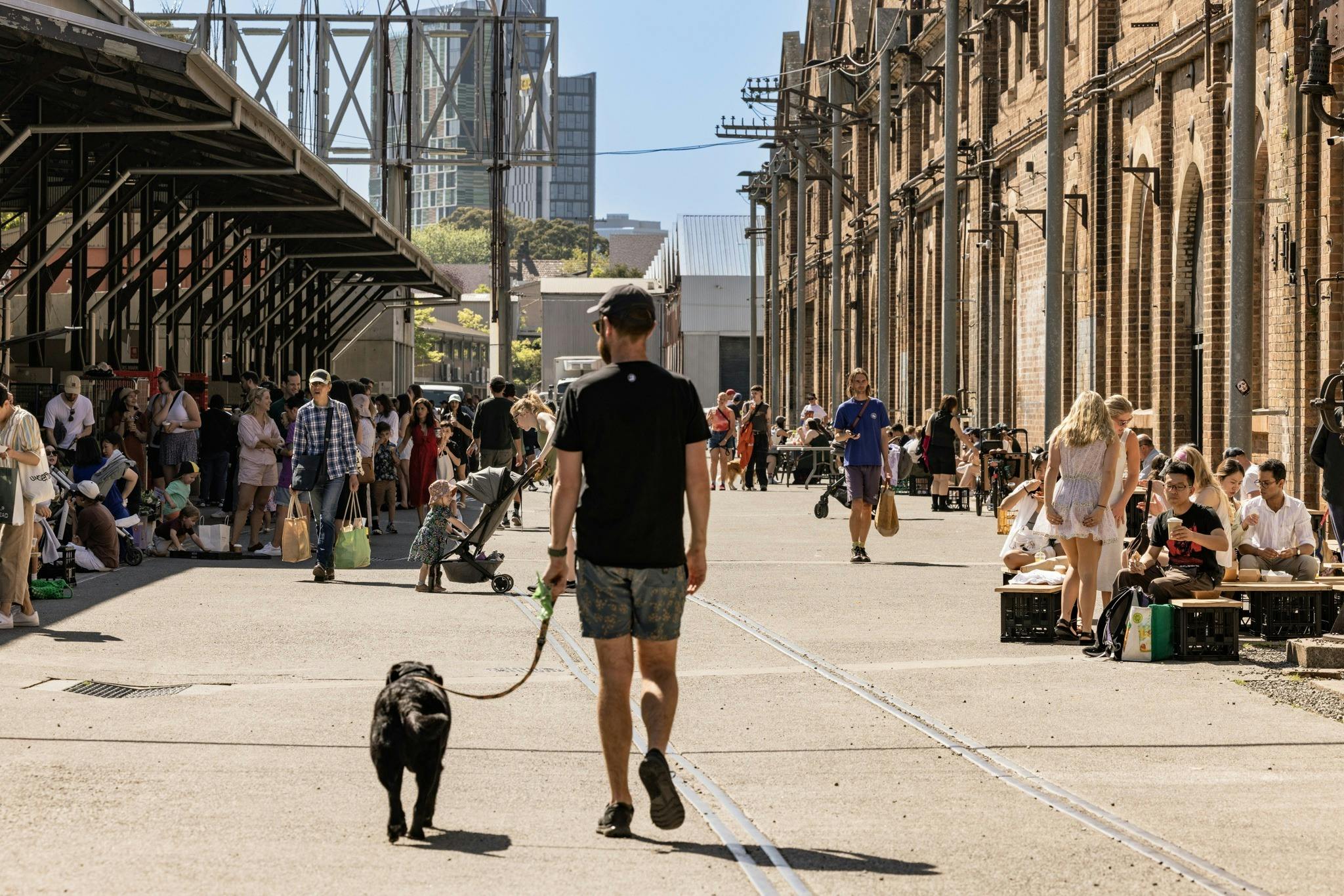 A man walks his dog on a leash past towards the Farmers Market