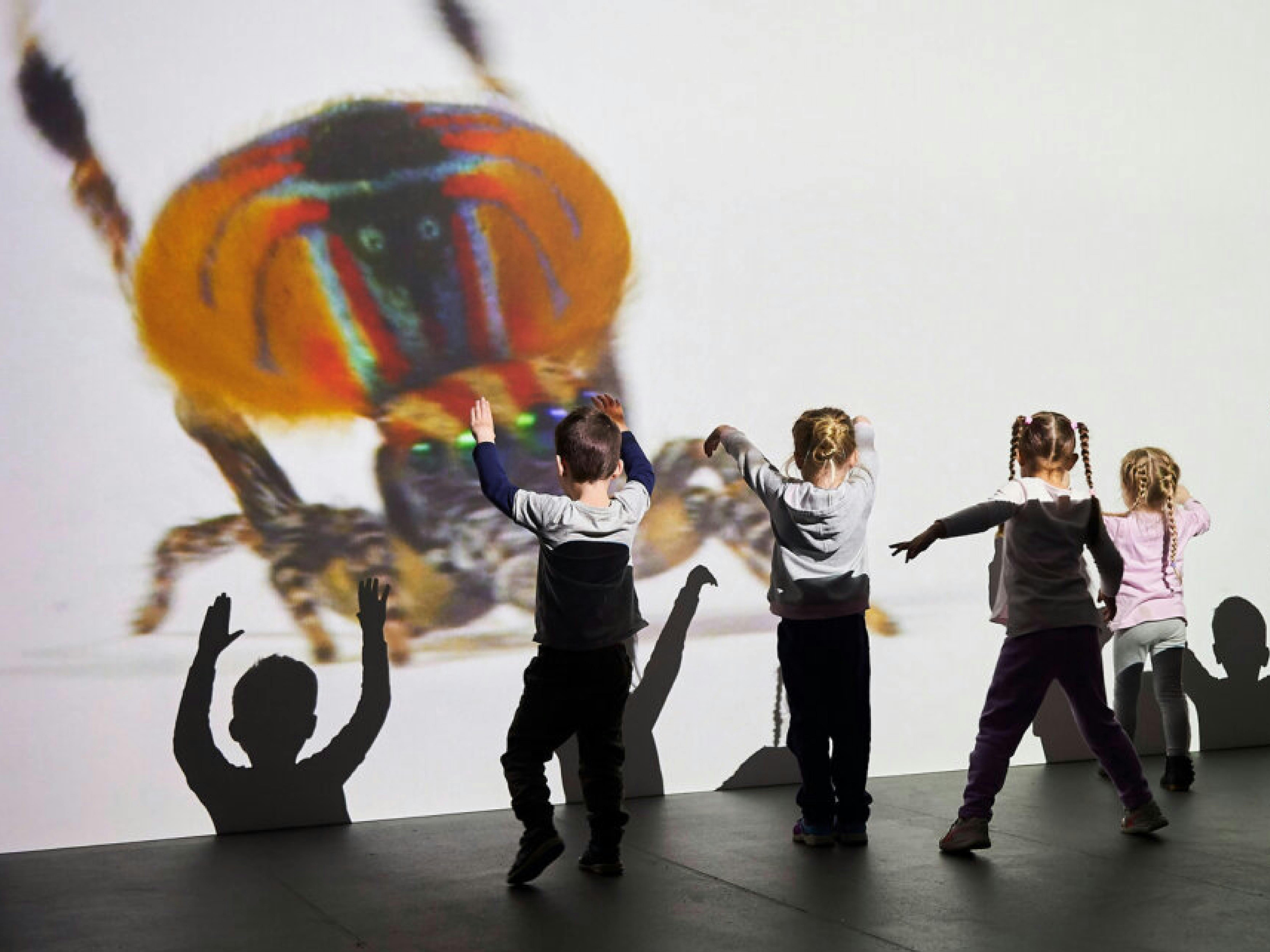 A joyful immersive experience in response to the work of Maria Fernanda Cardoso, Art & Wonder® MCA