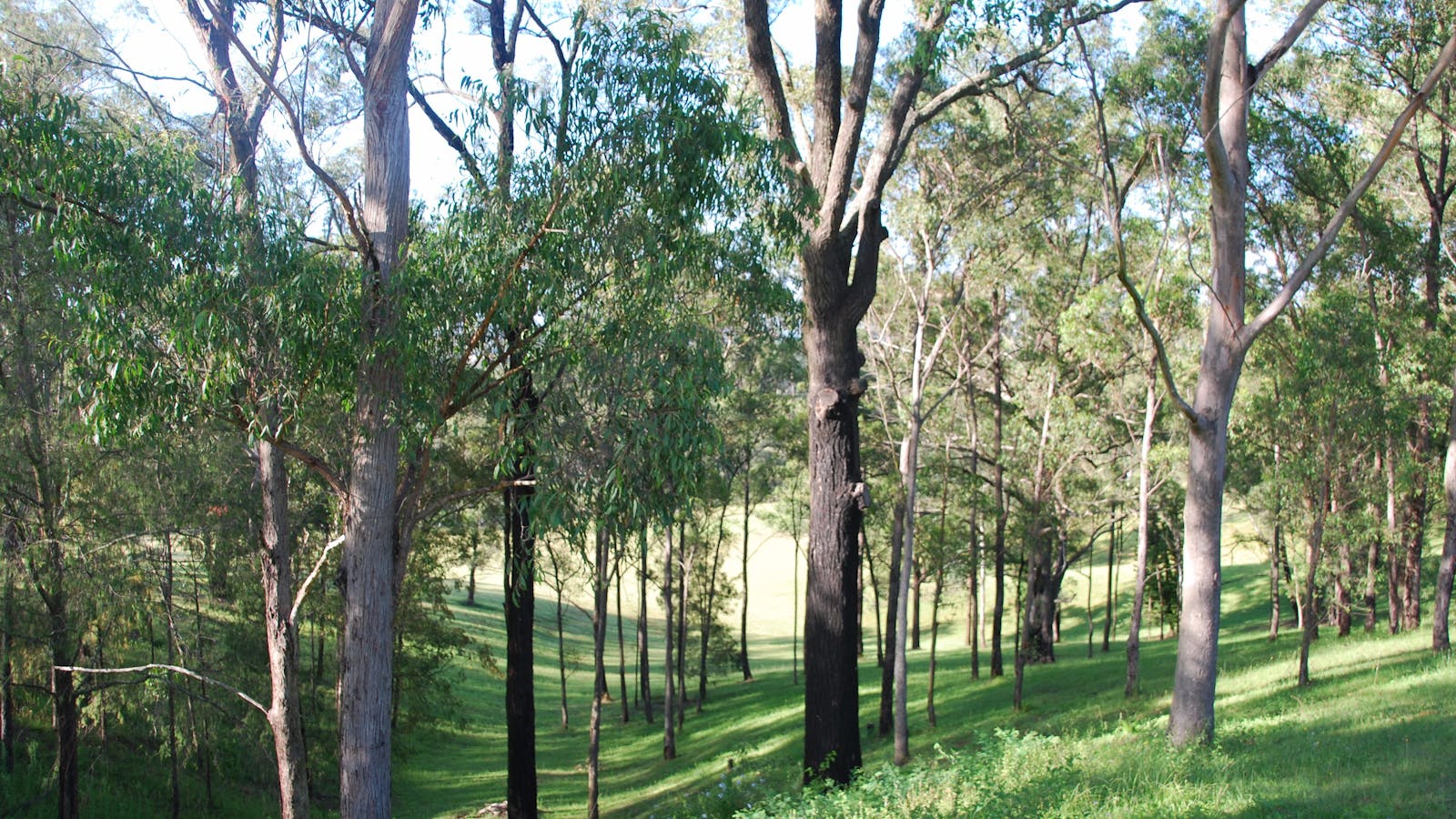 Mount Schoenstatt Spirituality Centre