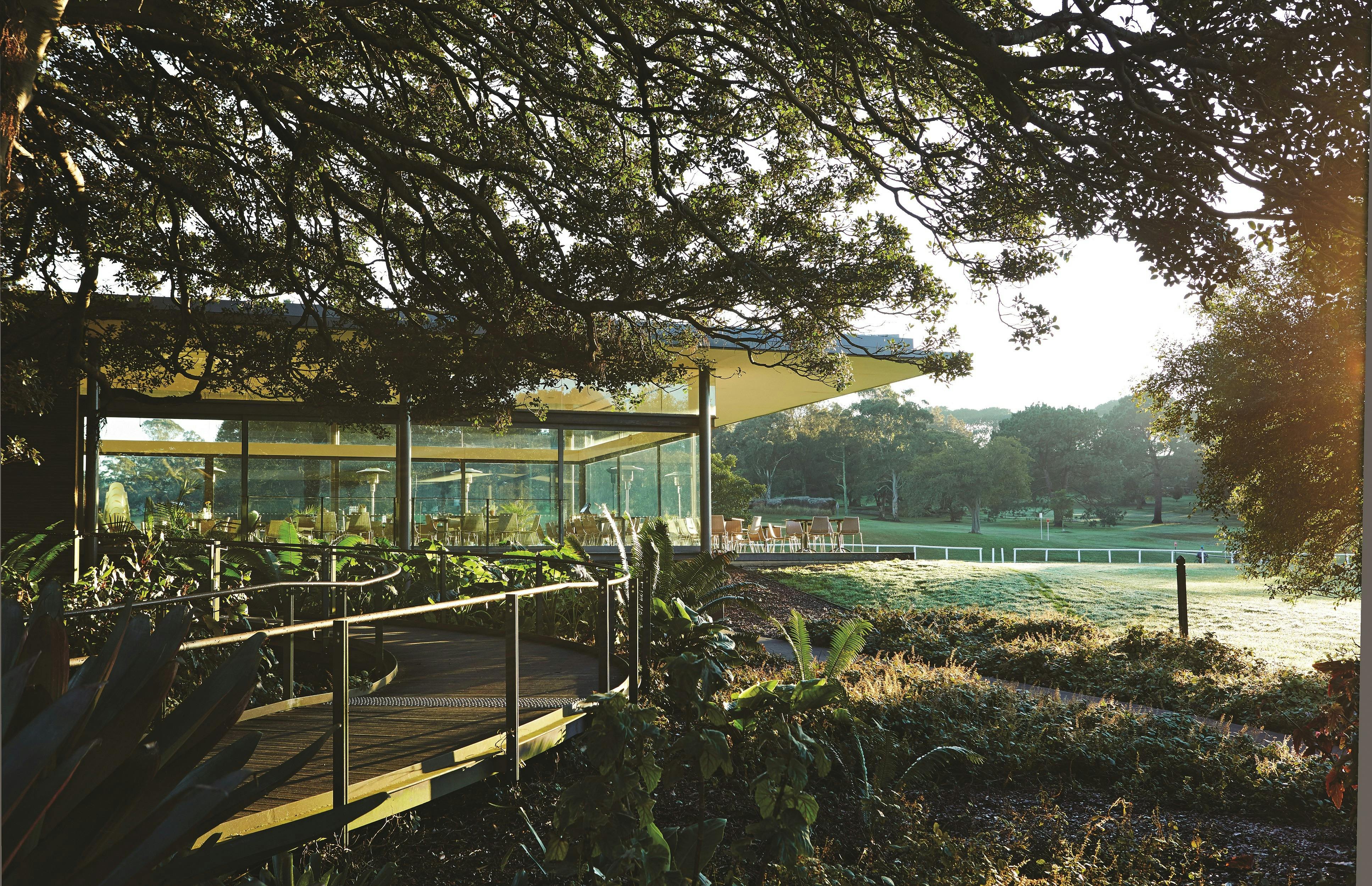 The Paddock