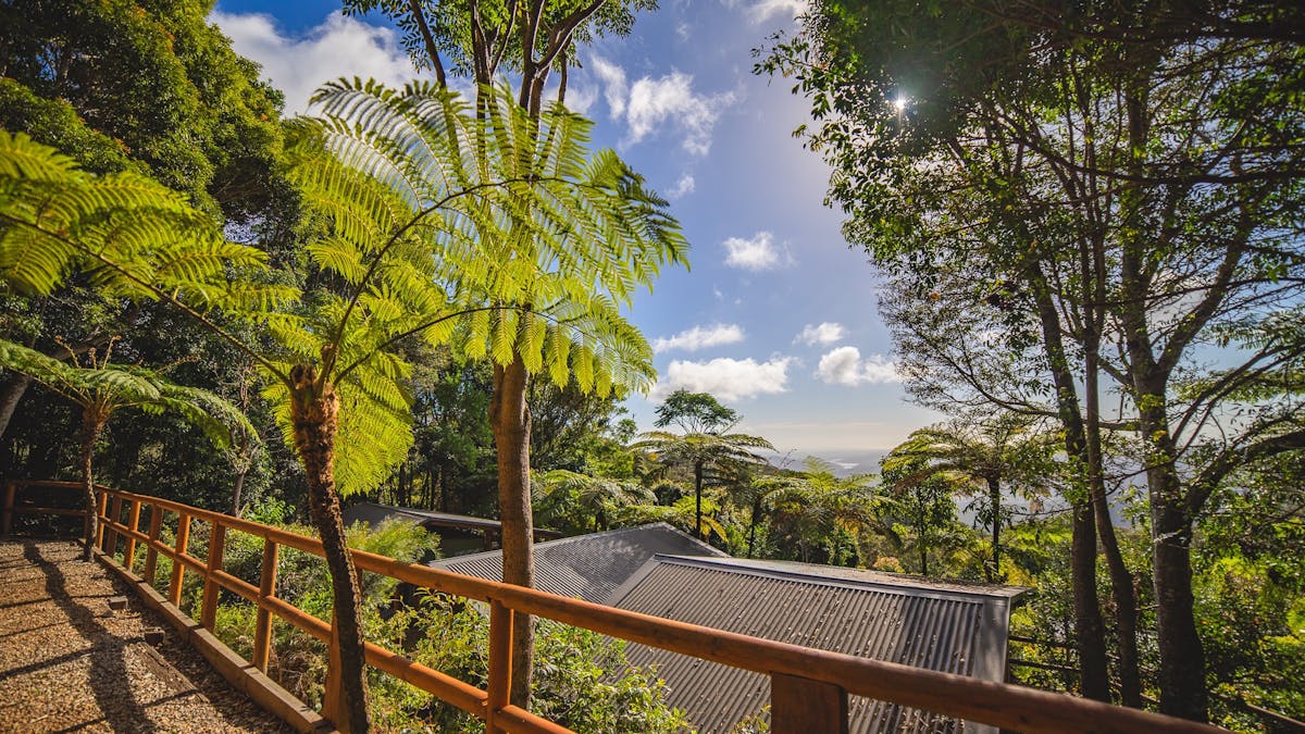 Image shows the views from the Safari Tent