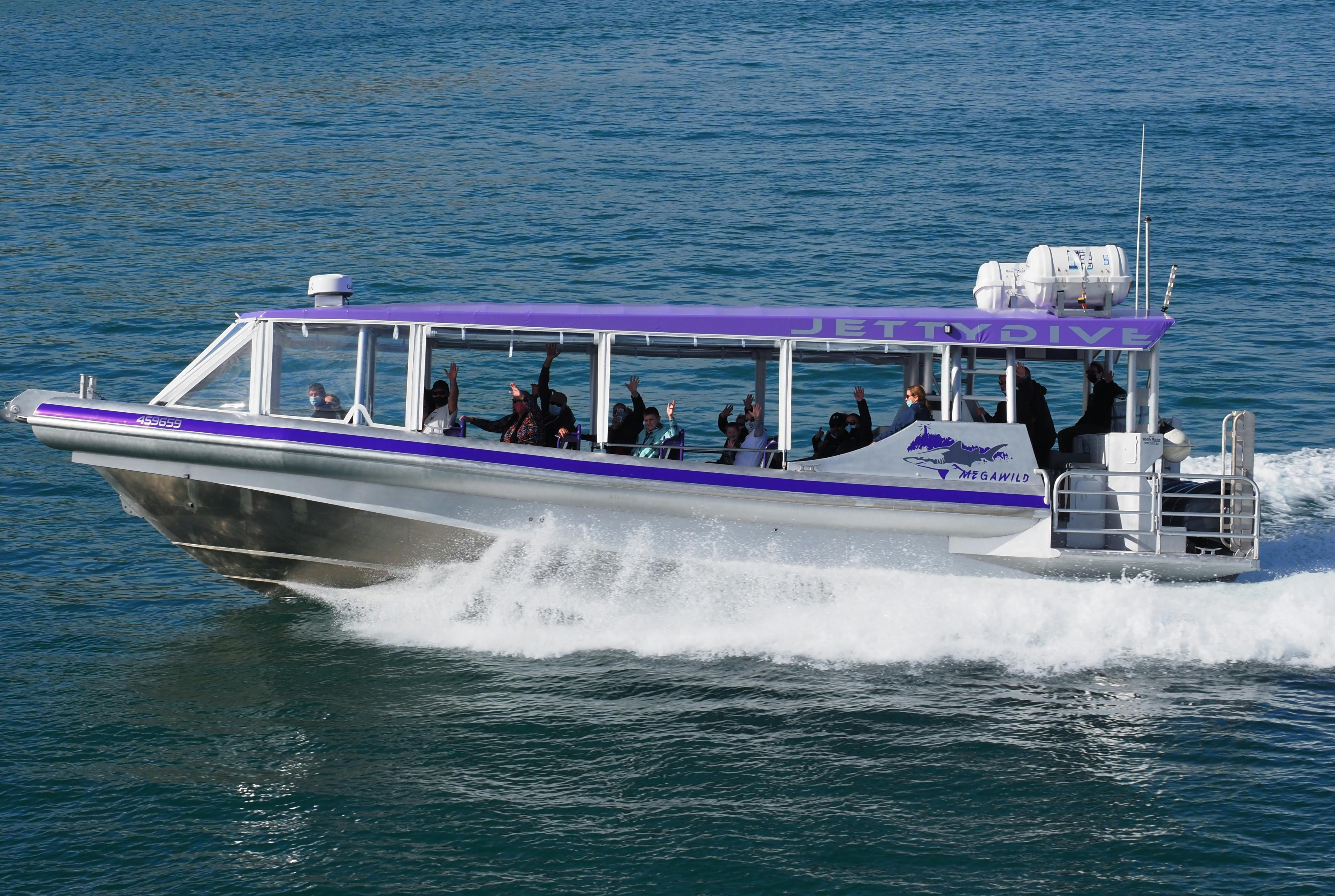 Boat called "Mega Wild" driving in the water, has a purple roof and open sides.