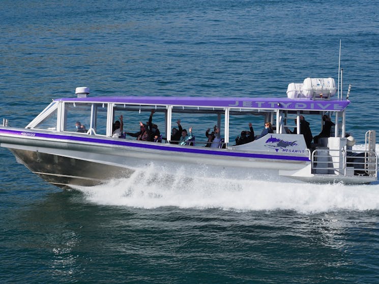 Boat called "Mega Wild" driving in the water, has a purple roof and open sides.