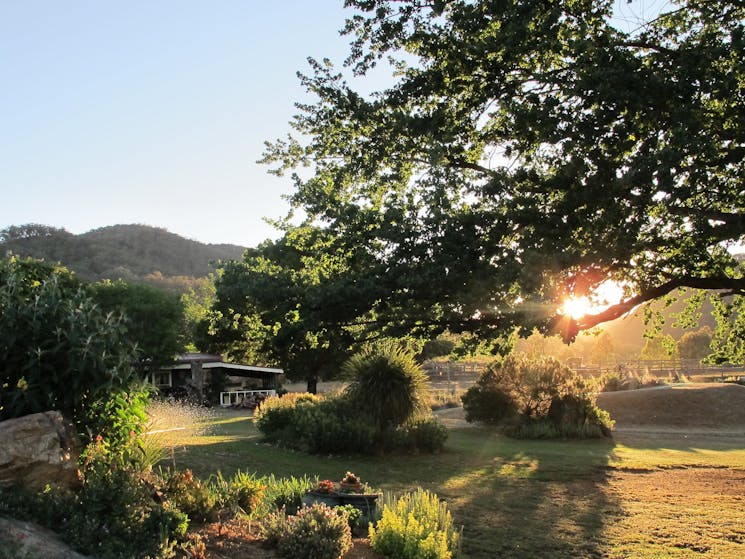 Garden views