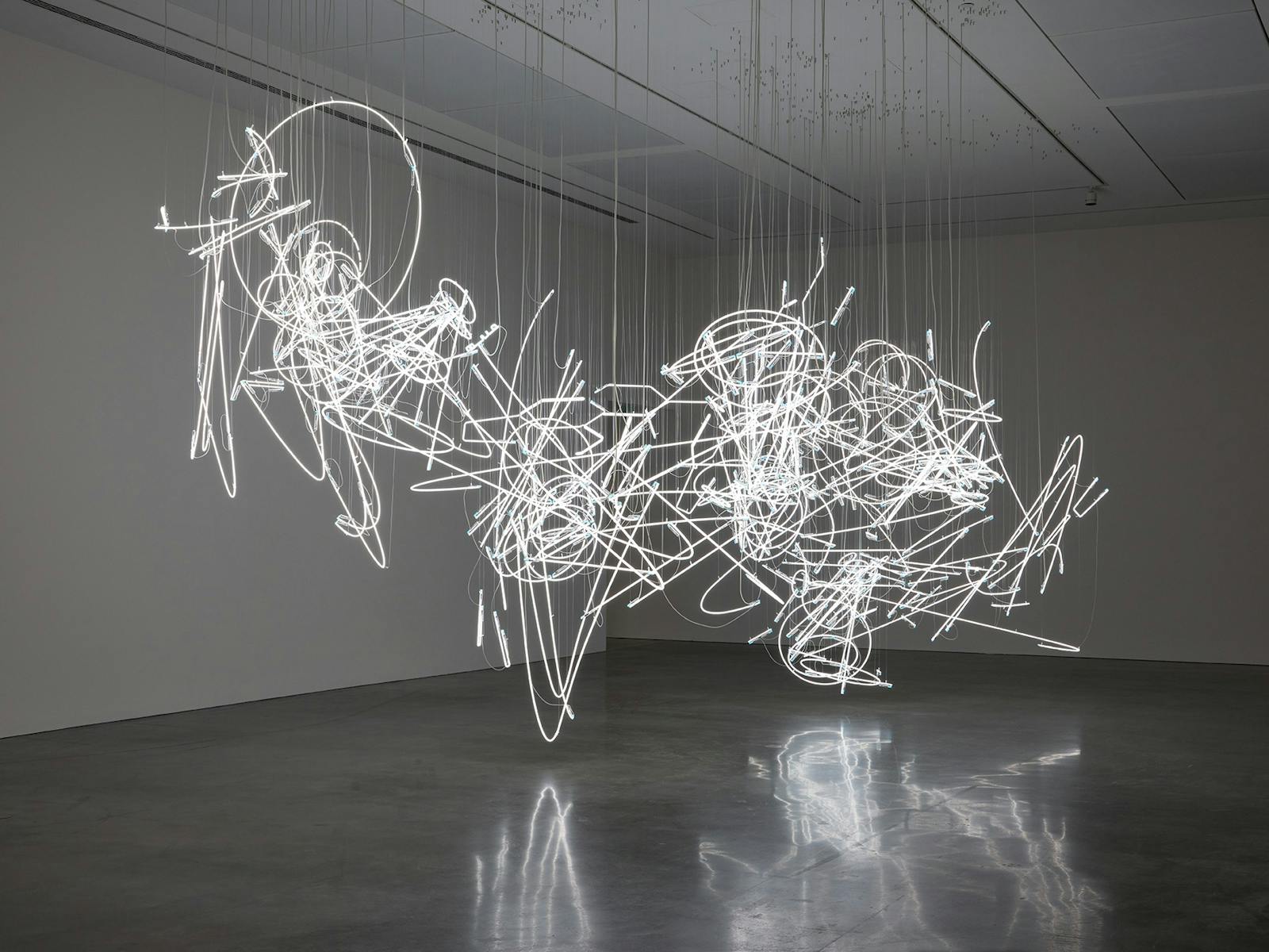 Neon lights displayed in a room hanging from the ceiling