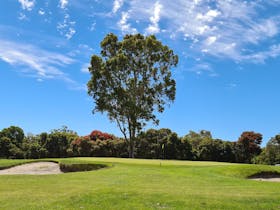 9th Green - Par 4 - Blue Tees 320 metres, Red Tees 298 metres.