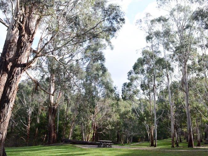 Mount George Conservation Park