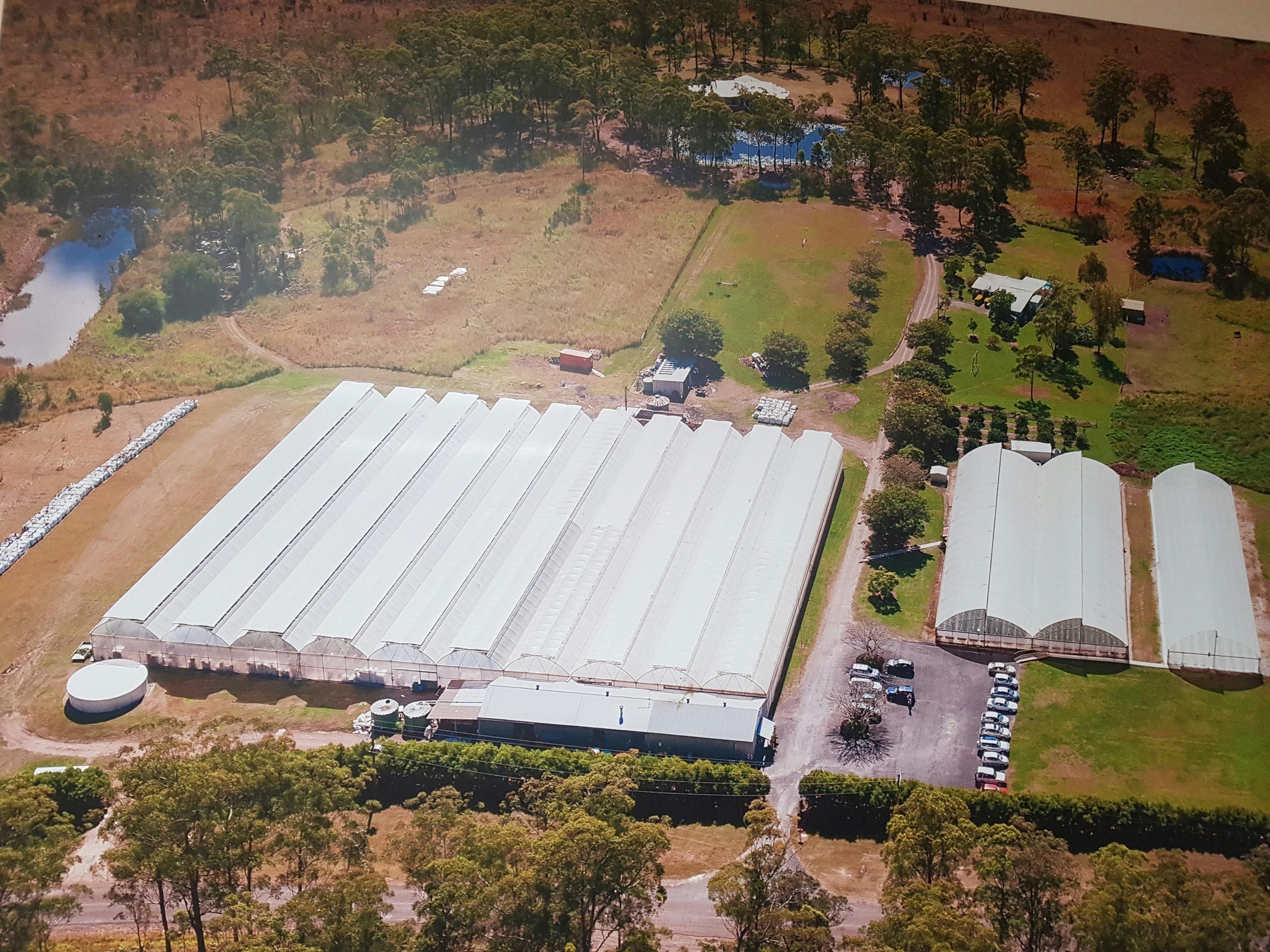 More strawberry greenhouses out of shot