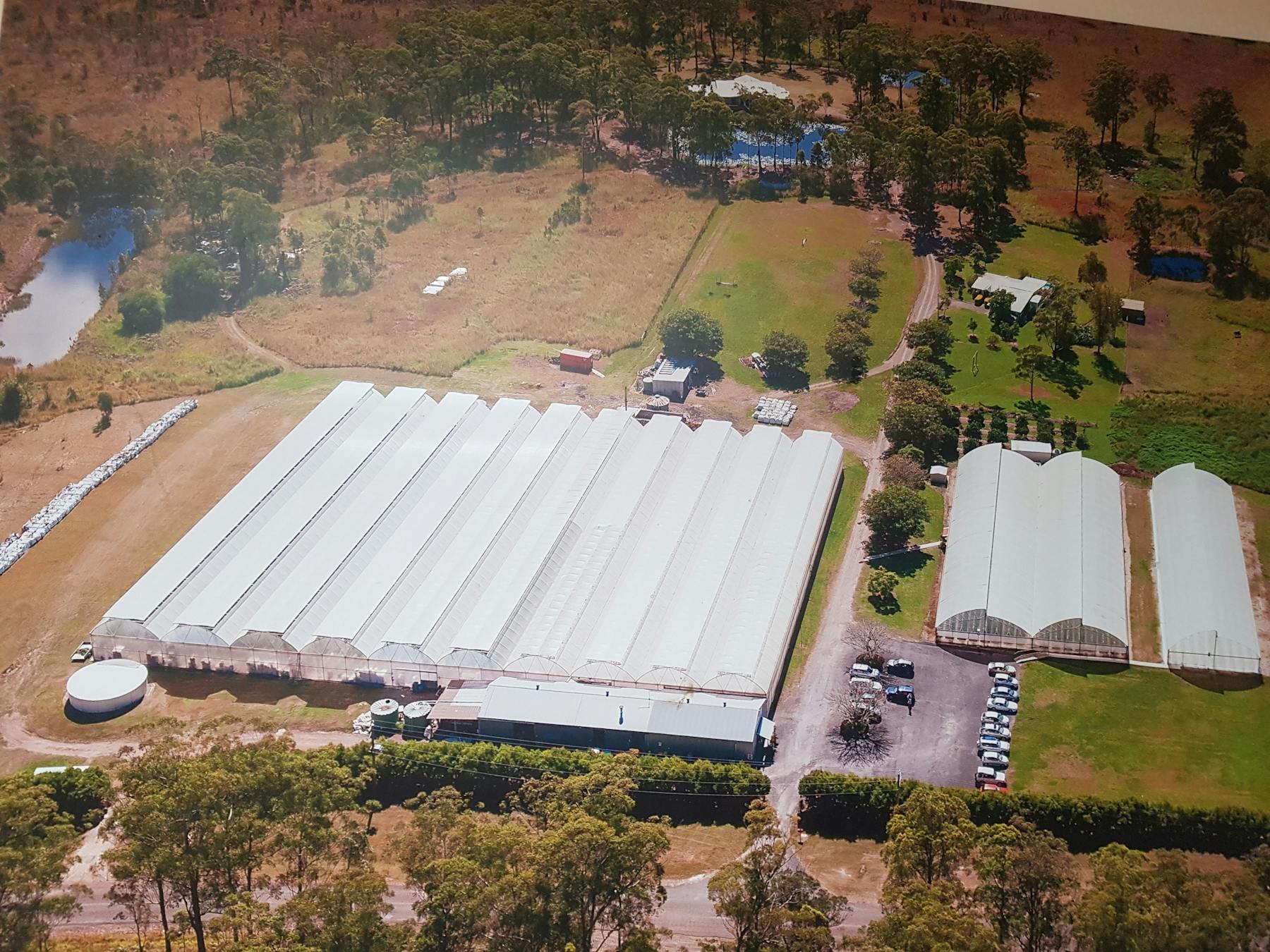 More strawberry greenhouses out of shot