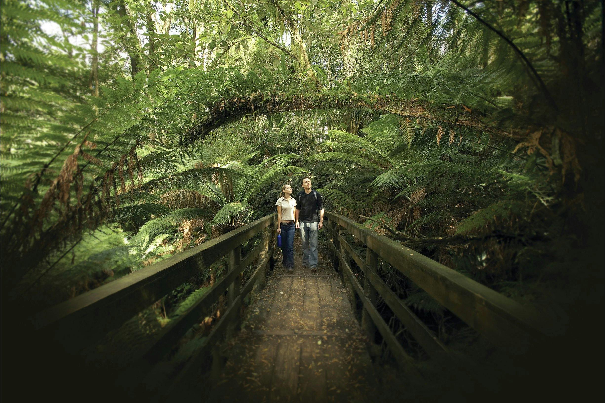 Great Otway National Park