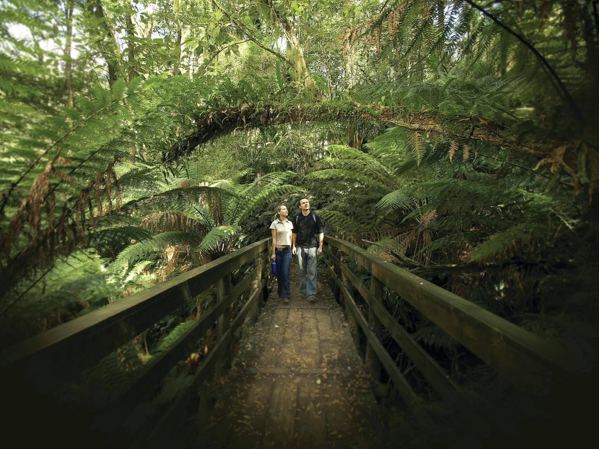 Great Otway National Park edit