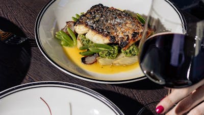 Barramundi