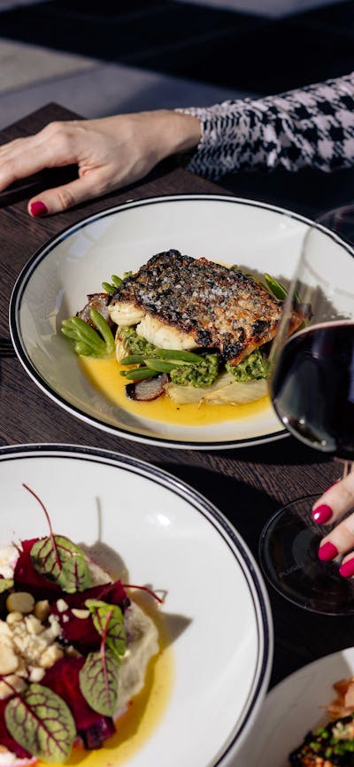 Barramundi