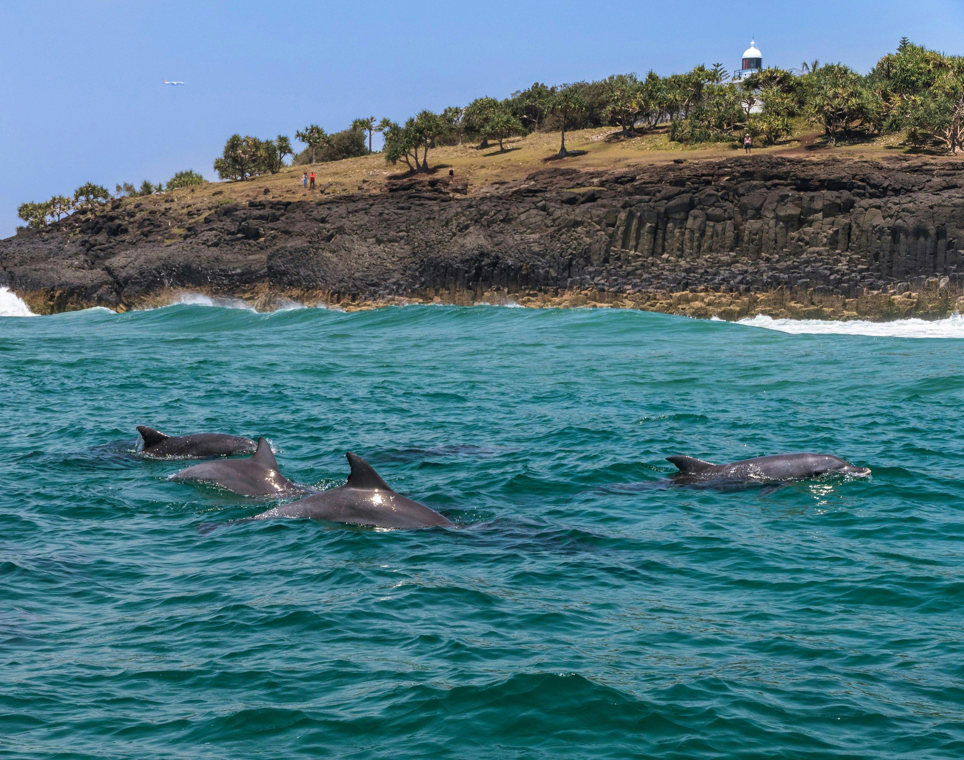 Fingal Beach - Tweed Area