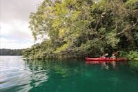 Two kayakers paddling on Lake Barrine