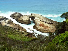 Diamond Head Loop Walk