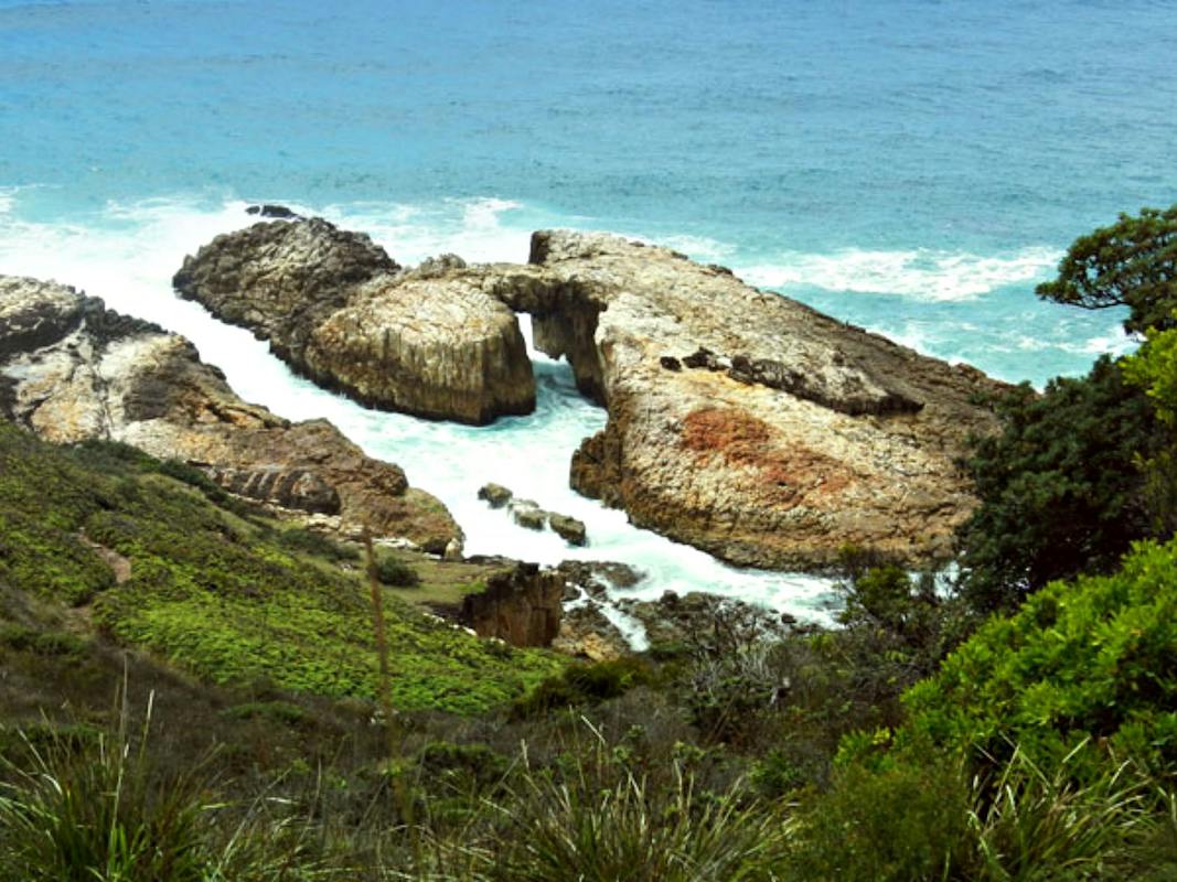 Diamond Head Loop Walk