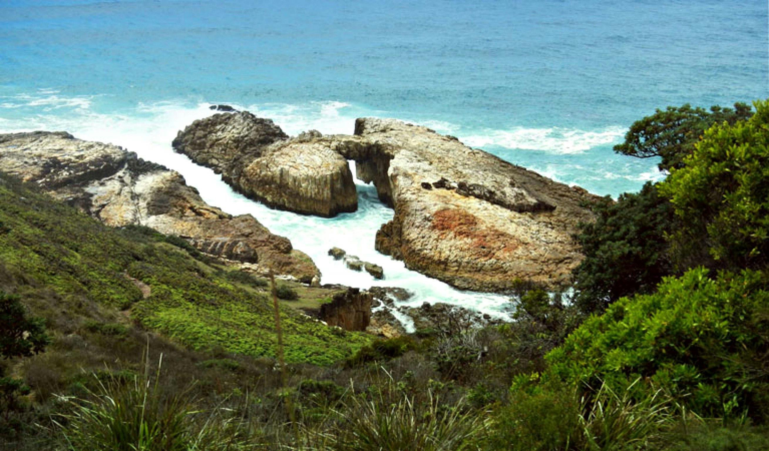 Diamond Head Loop Walk NSW Holidays & Things to Do