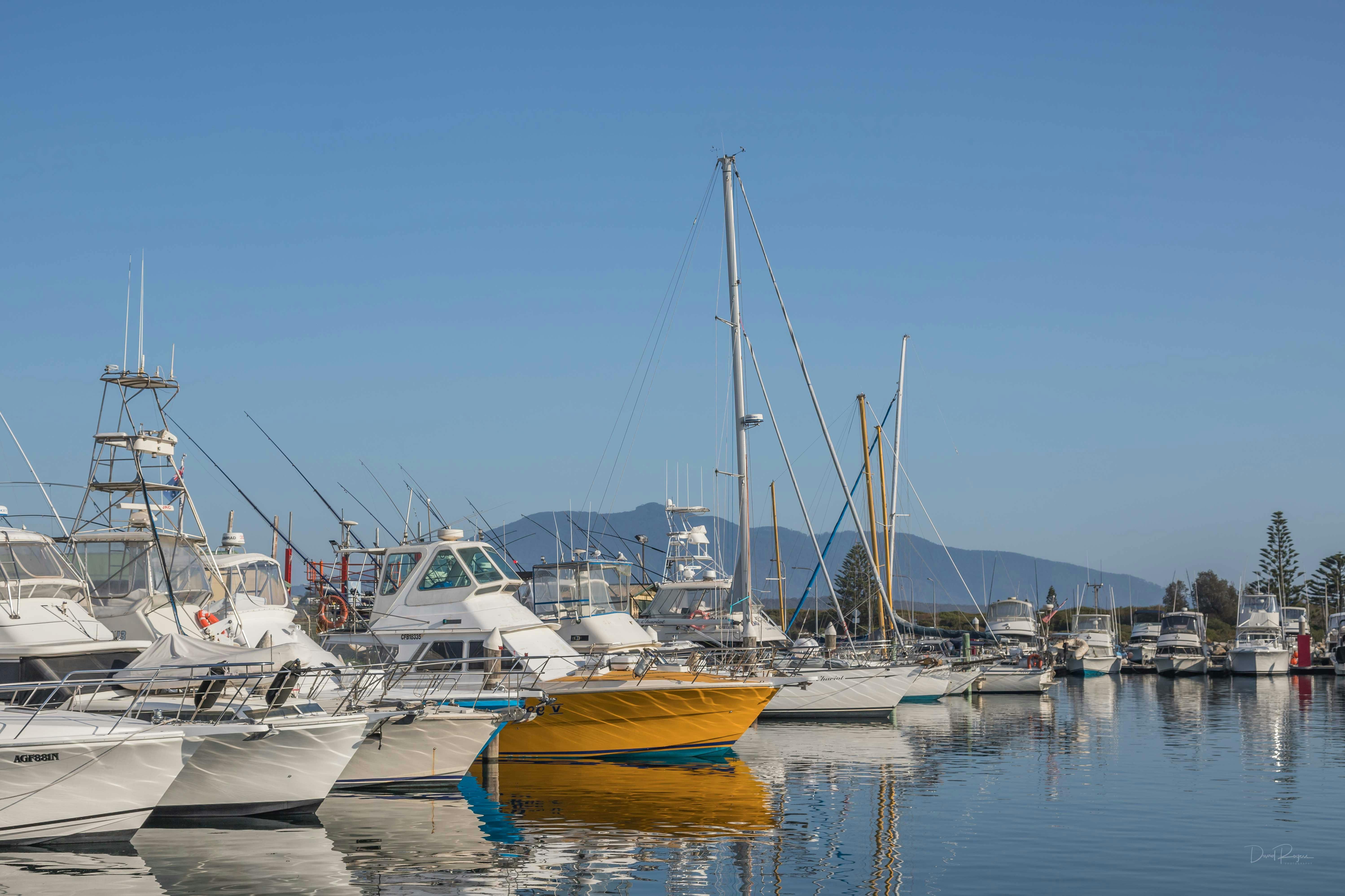Bermagui Harbour 藍寶石海岸, Bermagui 釣魚