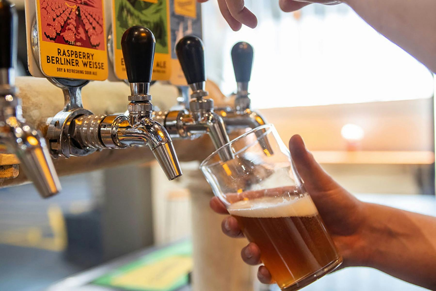 Wayward Brewing Co. Beers