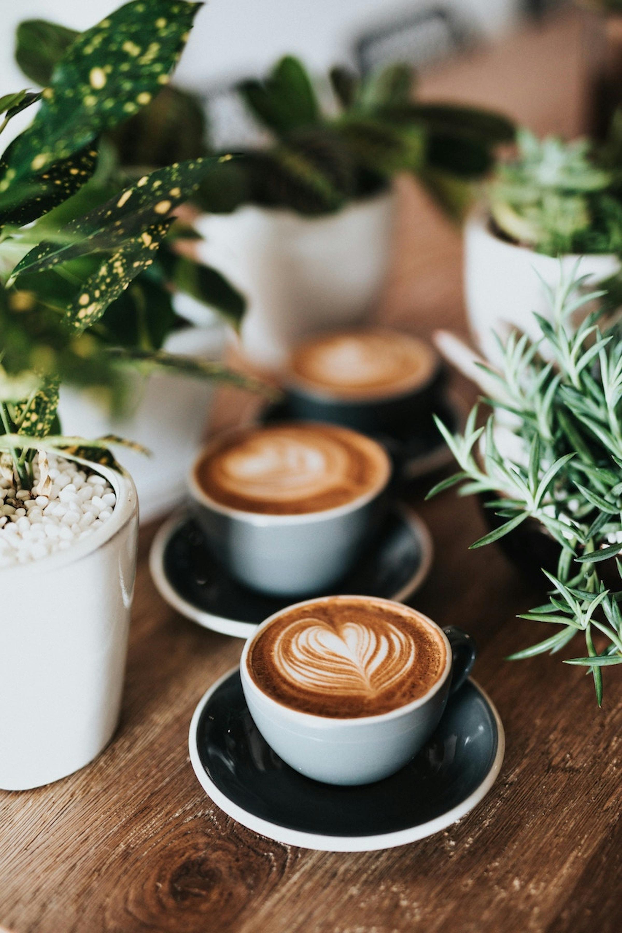coffee at craters