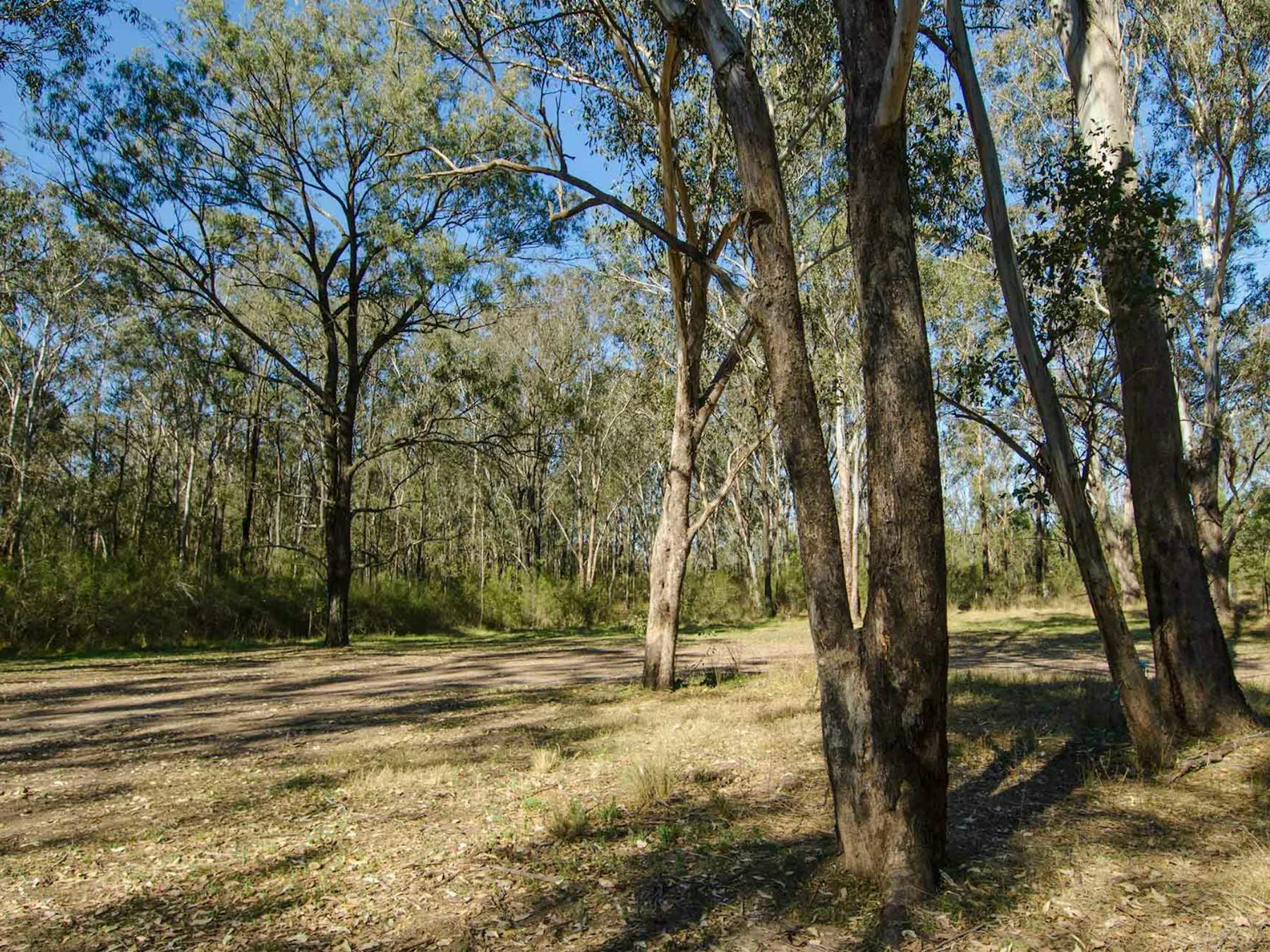 Scheyville National Park, Horseriding trails. Photo: John Spencer/NSW Government