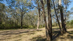 Scheyville Horse Riding Trails