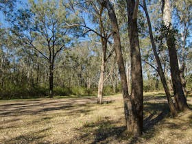 Scheyville Horse Riding Trails